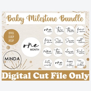 Baby Milestone Rounds SVG | Baby Monthly Milestone Rounds SVG PNG Glowforge | Baby Cricut Silhouette Cut File | Digital File Baby Milestones