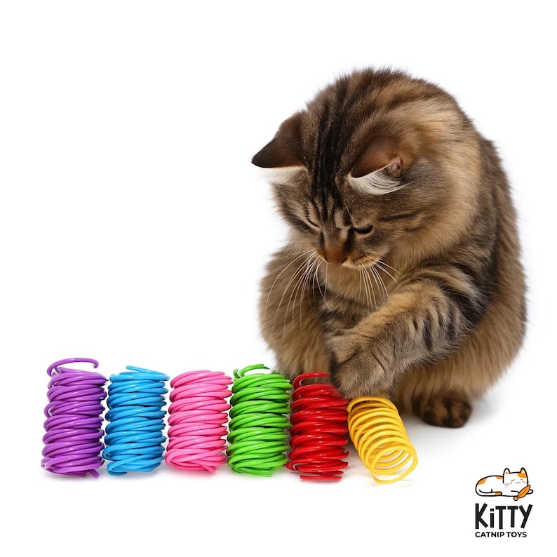 Kleurrijk kattenspeelgoed met spiraalveer | Verpakking van 15, 30 en 60 stuks | Interactief kattenspeelgoed in bulkverpakking | Diverse kleuren afbeelding 3