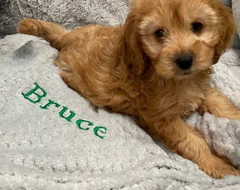 Personalised, embroidered dog/cat puppy/kitten honeycomb textured blanket. Can be plain, with your pets name or with paw print and name.