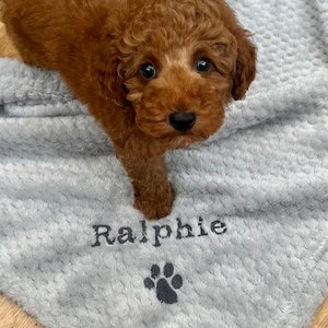 Personalised, embroidered dog/cat puppy/kitten blanket. Can be plain, with paw print only or with paw print and your pet's name. image 8