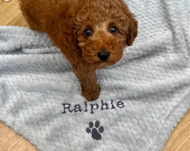 Personalised, embroidered dog/cat puppy/kitten blanket. Can be plain, with paw print only or with paw print and your pet's name. image 8