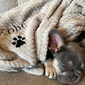 Personalised, embroidered dog/cat puppy/kitten blanket. Can be plain, with paw print only or with paw print and your pet&#39;s name.