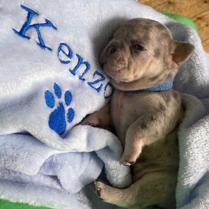 Personalised, embroidered dog/cat puppy/kitten blanket. Can be plain, with paw print only or with paw print and your pet's name. image 3