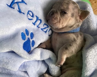 Personalisierte, bestickte Hunde- / Katzenwelpen- / Kätzchendecke. Kann unbedruckt, nur mit Pfotenabdruck oder mit Pfotenabdruck und dem Namen Ihres Haustieres sein.