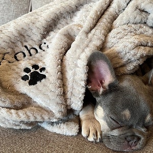 Personalised, embroidered dog/cat puppy/kitten blanket. Can be plain, with paw print only or with paw print and your pet's name. image 10