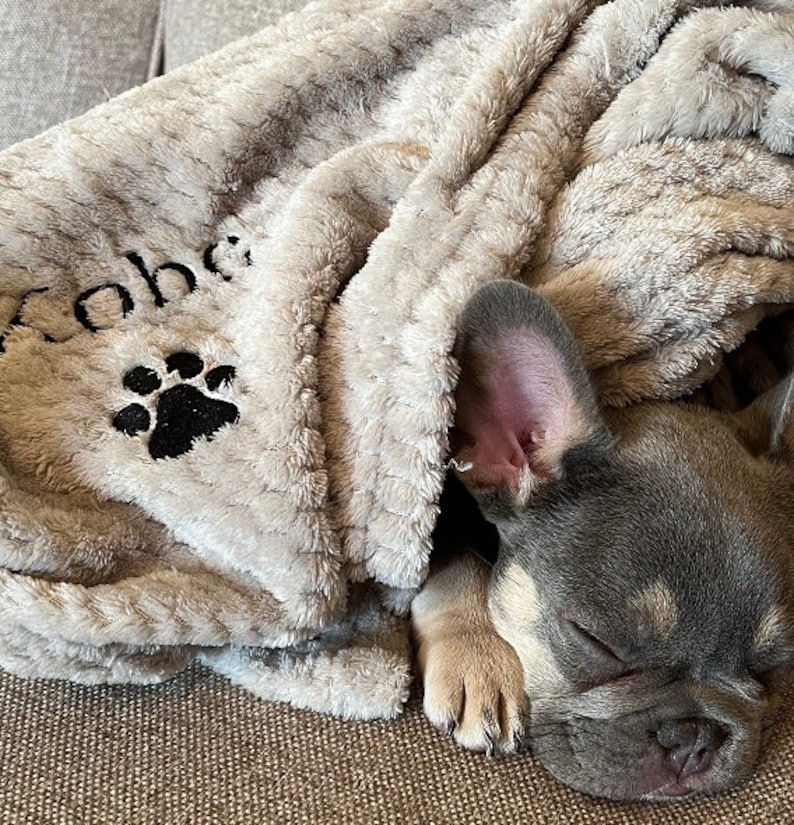 Personalised, embroidered dog/cat puppy/kitten blanket. Can be plain, with paw print only or with paw print and your pet's name. image 10