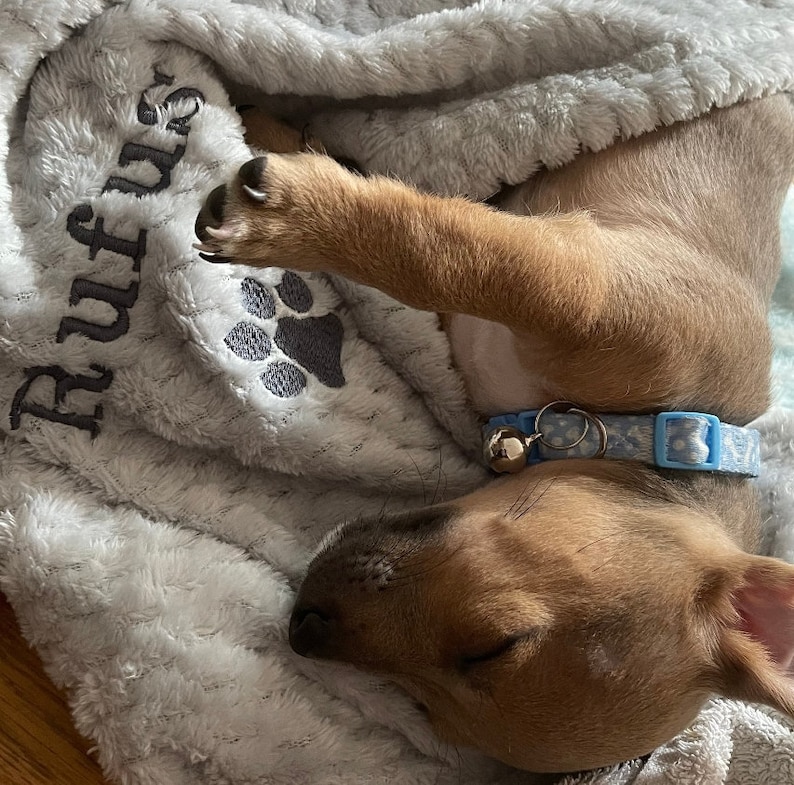 Personalised, embroidered dog/cat puppy/kitten blanket. Can be plain, with paw print only or with paw print and your pet's name. image 1