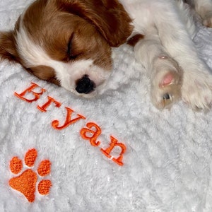 Personalised, embroidered dog/cat puppy/kitten blanket. Can be plain, with paw print only or with paw print and your pet's name. image 6