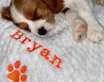 May include: A white and orange personalized pet blanket with the name "Bryan" embroidered in orange. A small orange paw print is in the lower left corner. A small, white and brown dog is sleeping on the blanket.