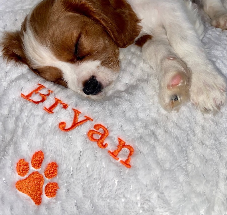 Personalised, embroidered dog/cat puppy/kitten blanket. Can be plain, with paw print only or with paw print and your pet's name. image 7