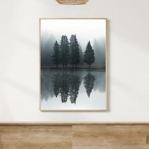 Reflection photography forest art photography moody forest art moody reflection Pacific Northwest photography modern art photography image 1