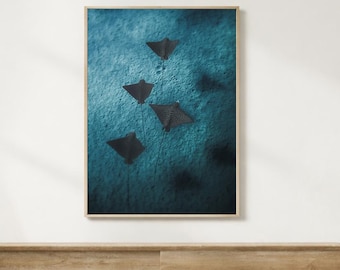 Blue Ocean Eagle Rays kunst aan de muur, onderwater fotografie van het zeeleven, kust strandhuis decor, minimalistische oceaan print