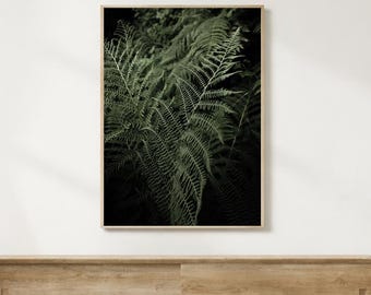 Fern fine art photography plant photography macro photography Green wall art Green art decor Fern art print modern wall decor PNW botanical