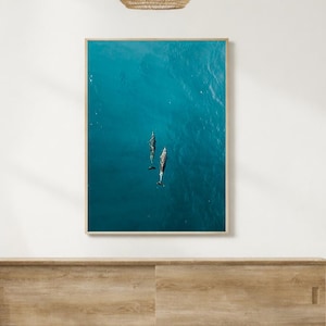 Stampa fotografica di delfini - Decorazioni d'interni alle Hawaii - Arte murale a Maui - Decorazioni d'interni tropicali - Foto di animali marini - Arte murale con delfini