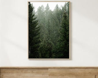 Pacific Northwest Moody forest print PNW art PNW photography Moody photography Moody art print Washington State art Forest wall decor art