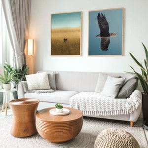 Op de afbeelding: Een woonkamer met een grijze bank, twee ingelijste natuurprints en houten salontafels. De prints tonen een vos in een veld en een vliegende adelaar. Een geweven vloerkleed en een gebreide poef vullen de ruimte aan.