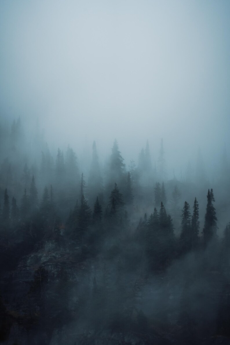 Pacific Northwest art, moody wall art, PNW art, forest art print, moody decor, Washington wall decor, moody forest print, Washington art bild 8
