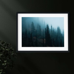 May include: A framed print featuring a misty forest scene. The artwork showcases tall, dark evergreen trees shrouded in a soft, blue-gray fog. The print is set within a black frame with a white mat, creating a striking contrast against the dark wall.