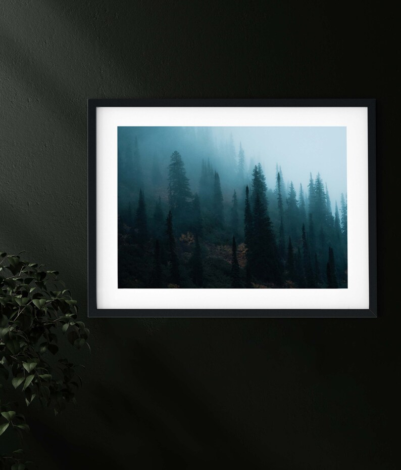 May include: A framed print featuring a misty forest scene. The artwork showcases tall, dark evergreen trees shrouded in a soft, blue-gray fog. The print is set within a black frame with a white mat, creating a striking contrast against the dark wall.