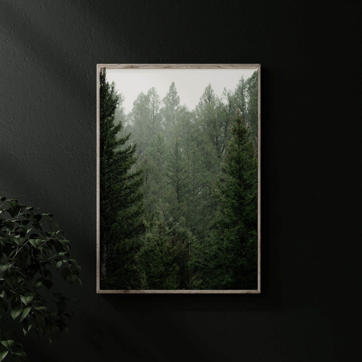 Pacific Northwest Moody forest print PNW art PNW photography Moody photography Moody art print Washington State art Forest wall decor art
