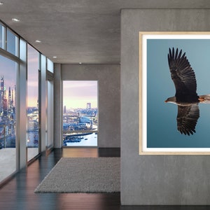 Op de afbeelding: Een ingelijste print met een Amerikaanse zeearend in vlucht tegen een blauwe lucht. De donkere vleugels van de adelaar zijn wijd gespreid. De print wordt getoond in een modern interieur met grote ramen met uitzicht op een stadsgezicht.