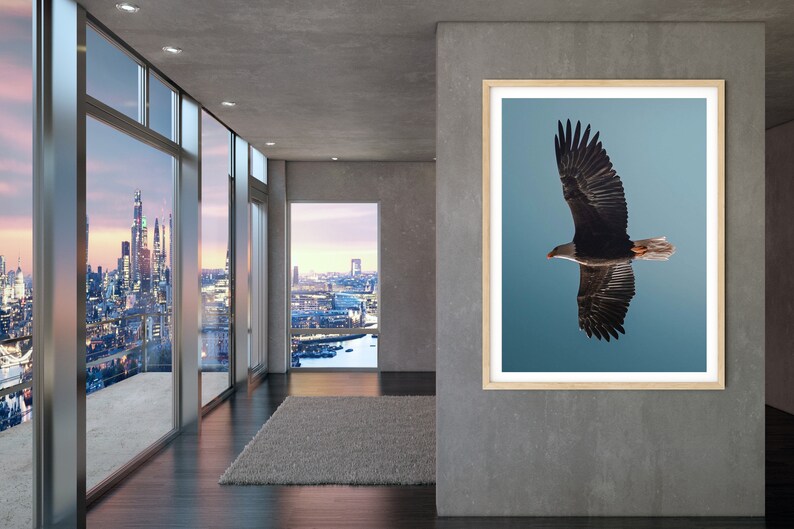 Op de afbeelding: Een ingelijste print met een Amerikaanse zeearend in vlucht tegen een blauwe lucht. De donkere vleugels van de adelaar zijn wijd gespreid. De print wordt getoond in een modern interieur met grote ramen met uitzicht op een stadsgezicht.
