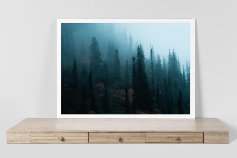 Foggy forest wall decor moody fine art print Pacific Northwest wall art Pacific Northwest art moody forest print Pacific Northwest native image 1
