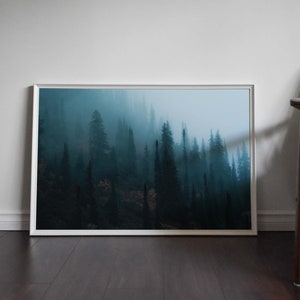 May include: A framed art print featuring a misty forest scene. The artwork depicts tall, dark evergreen trees shrouded in a blue-green fog. The print is in a silver frame and leans against a white wall.