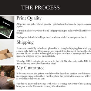 May include: A description of the process for printing and shipping art prints. The text includes information about the print quality, shipping options, and a guarantee of satisfaction. The image shows a Canon printer, a brown shipping box, and a person.