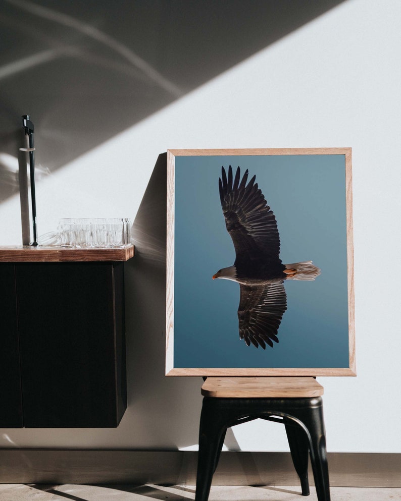 Op de afbeelding: Een ingelijste print van een Amerikaanse zeearend in vlucht tegen een blauwe lucht. De adelaar spreidt zijn vleugels, met donkerbruine veren. De print zit in een licht houten frame en staat op een kleine houten kruk met zwart metalen frame.