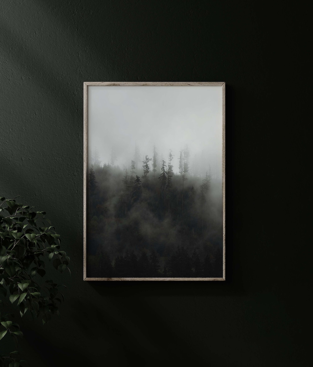 Foggy Forest Print Foggy Forest Wall Decor Washington Wall Decor