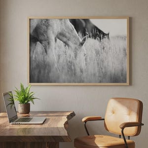 Pu&ograve; includere: Stampa incorniciata in bianco e nero di due cavalli al pascolo in un campo. L'opera d'arte &egrave; esposta sopra una scrivania in legno con un laptop e una felce in vaso. Una sedia in pelle marrone si trova nelle vicinanze.