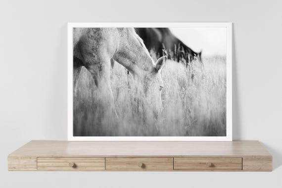 Equine wall decor - grand Teton Valley art, horse photography, wildlife photo, horse wall art, horse art decor, western wall ar
