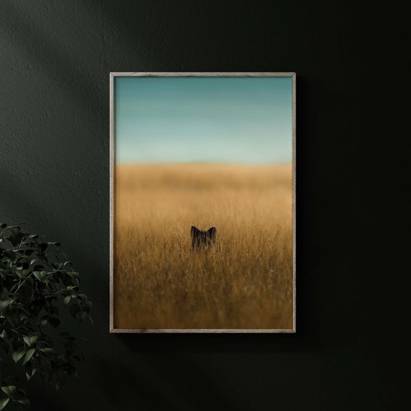 San Juan Island fox print minimalist art print wildlife art print wildlife wall art wildlife wall decor gallery art print wildlife fine art