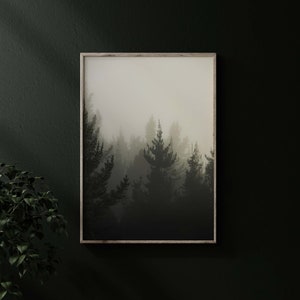 PNW moody wall art moody photography moody wall decor Pacific Northwest moody forest wall art print Washington state art