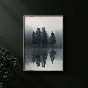 May include: A framed photograph of a misty forest scene with five tall trees reflected in a still body of water.