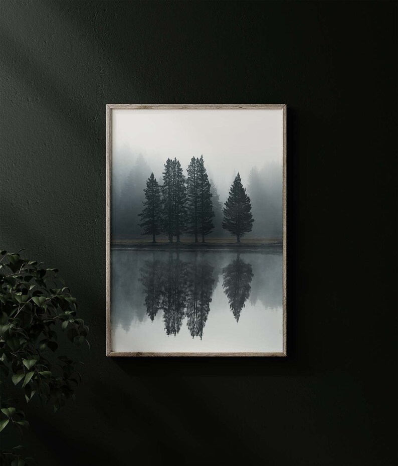 May include: A framed photograph of a misty forest scene with five tall trees reflected in a still body of water.