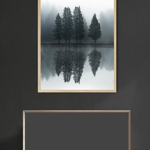 May include: A framed photograph of a misty forest scene with five tall trees reflected in a still lake. The trees are dark green and the water is a light blue. The background is a soft white.