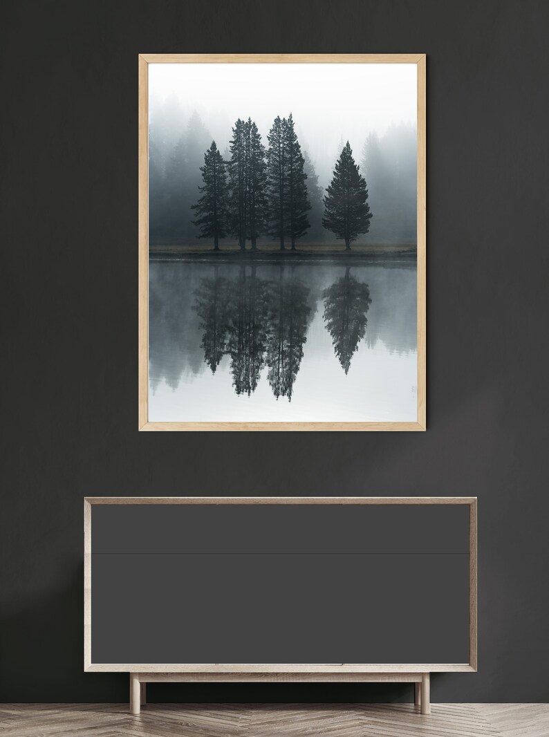 May include: A framed photograph of a misty forest scene with five tall trees reflected in a still lake. The trees are dark green and the water is a light blue. The background is a soft white.