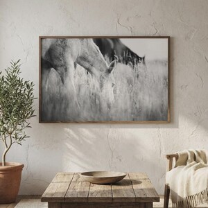 Pu&ograve; includere: Stampa in bianco e nero incorniciata di due cavalli che pascolano nell'erba alta. L'opera d'arte &egrave; esposta sopra un tavolino di legno con una ciotola decorativa. Un albero di ulivo in vaso e una poltrona beige completano l'arredamento della stanza.