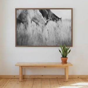 Pu&ograve; includere: Una stampa incorniciata in bianco e nero di due cavalli che pascolano nell'erba alta. L'opera d'arte &egrave; esposta sopra una panca di legno, con una pianta di serpente in vaso sulla panca. La stanza ha un design minimalista.