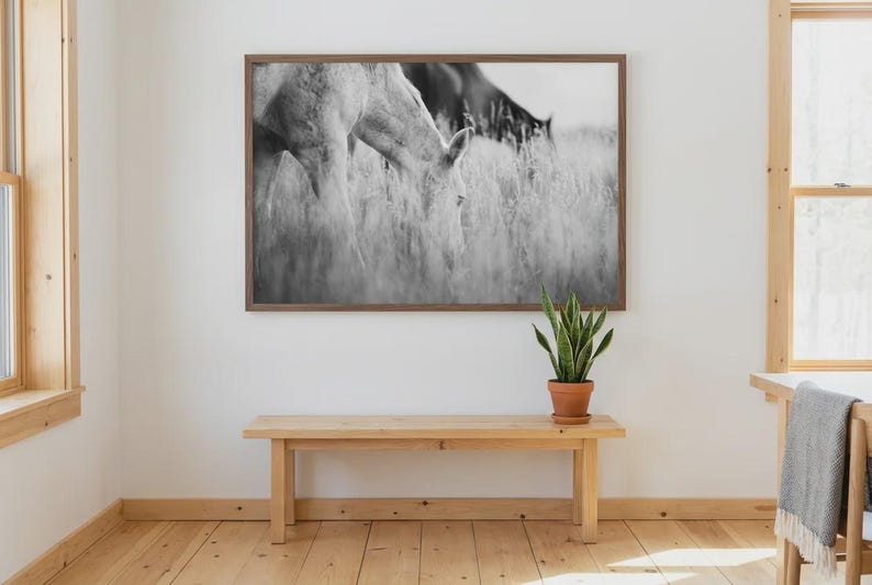 Pu&ograve; includere: Una stampa incorniciata in bianco e nero di due cavalli che pascolano nell'erba alta. L'opera d'arte &egrave; esposta sopra una panca di legno, con una pianta di serpente in vaso sulla panca. La stanza ha un design minimalista.