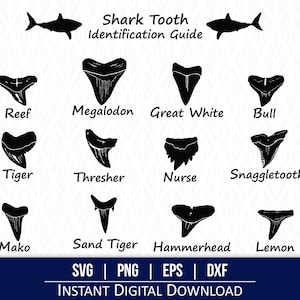 Dent de requin SVG | Guide des dents de requin | Identification des dents de requin | Affiche de dent de requin - téléchargement numérique - découpeuse laser Cricut, Silhouette,