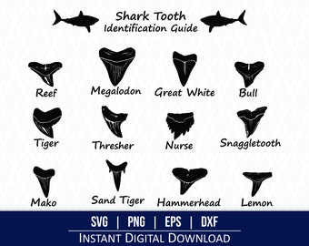 Haaientand SVG | Haaientandengids | Identificatie van haaientanden | Haaientand poster - digitale download - Cricut, silhouet, lasersnijders
