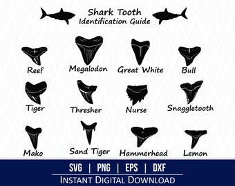 Dents de requin SVG