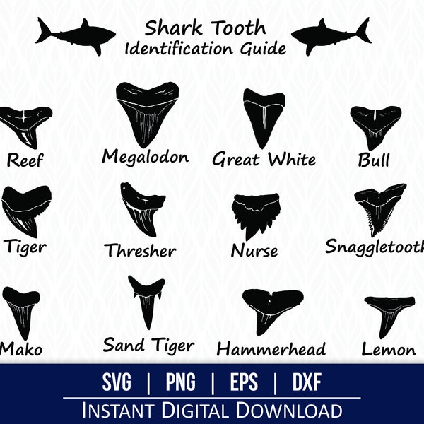 Shark Teeth SVG