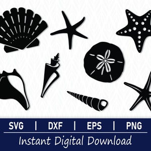 Schelpen svg, strand svg, schelpen clipart, schelpen gesneden bestanden - directe digitale download - svg, png, dxf en eps inbegrepen!