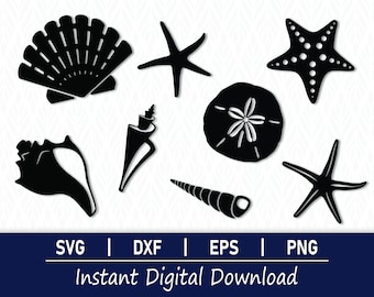 Conchas marinas SVG: Imágenes prediseñadas de conchas de playa, archivos de corte (descarga digital)