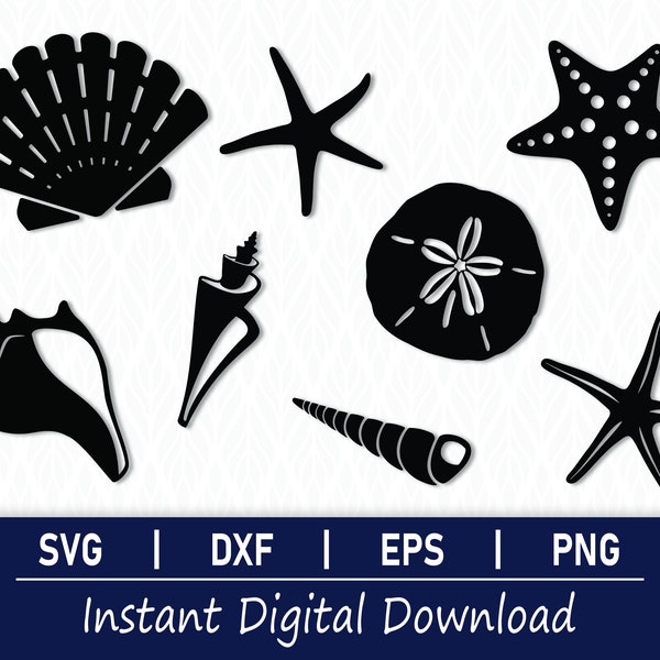 Seashells SVG