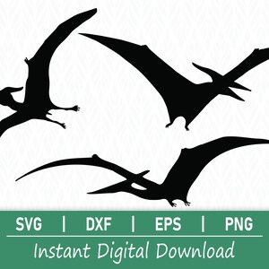 Pterodactylus SVG - directe digitale download - inclusief svg, png, dxf en eps!